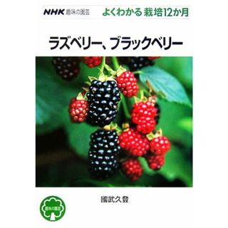 趣味の園芸　ラズベリー、ブラックベリー よくわかる栽培１２か月 ＮＨＫ趣味の園芸／國武久登【著】(住まい/暮らし/子育て)