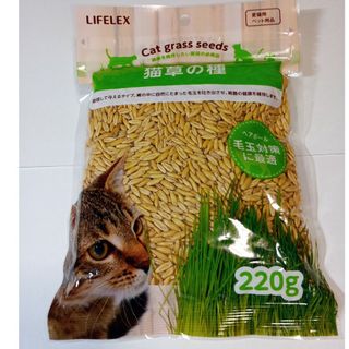 猫草の種220g　エン麦　愛犬・猫草の種　翌日発送　消費期限2026年2月(その他)