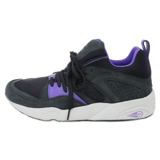 プーマ(PUMA)のPUMA プーマ BLAZE OF GLORY TRINOMIC CRKL ブレイズ オブ グローリー トリノミック ローカットスニーカー ブラック US13/31cm 357772(スニーカー)