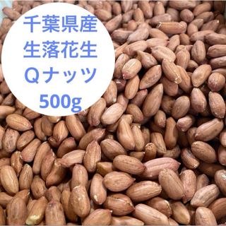 千葉県産生落花生　Ｑナッツ　500g(野菜)