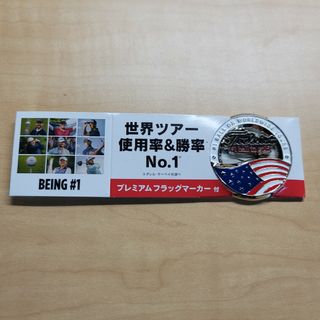 タイトリスト(Titleist)のタイトリスト　プレミアム　フラッグマーカーUSA(その他)