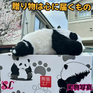 新品 希少品　三月のファーファー　パンダぬいぐるみ(ぬいぐるみ)