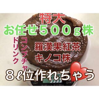 特大　羅漢果紅茶キノコ株　８リットル位作れちゃいます🖤(その他)