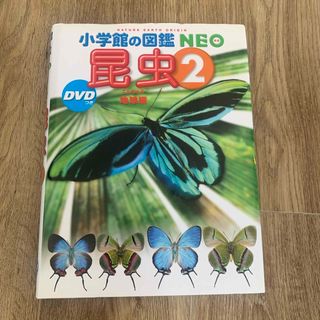 ショウガクカン(小学館)の小学館の図鑑 NEO 昆虫2(絵本/児童書)