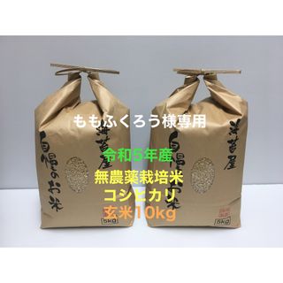 ももふくろう様専用 無農薬コシヒカリ10kg(5kg×2)令和5年産(米/穀物)