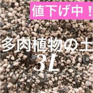 値下げ中❣️多肉植物　サボテンの土　約3リットル 即購入歓迎❣️