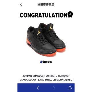 ジョーダン(Jordan Brand（NIKE）)のJ Balvin Nike Air Jordan 3 Retro 28.5新品 (スニーカー)