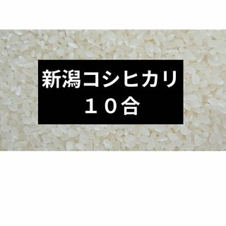 新潟県コシヒカリ　古米　内容量10合(米/穀物)