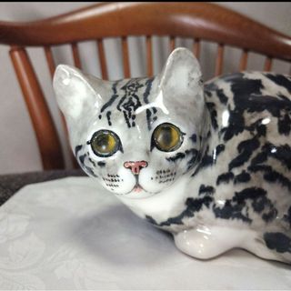 ウィンスタンレイキャット(ケンジントンキャット)サイズ5の大きな ウィンスタンレイキャット(ケンジントンキャット)サイズ5の大きな
