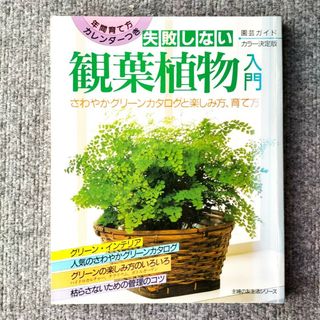 「失敗しない　観葉植物入門」主婦の友社(趣味/スポーツ/実用)