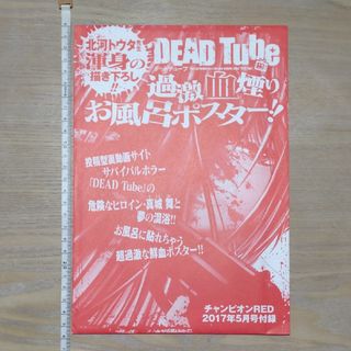 DEAD Tube　過激血煙り お風呂ポスター　チャンピオンRED付録(ポスター)