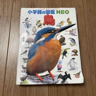 ショウガクカン(小学館)の小学館の図鑑　NEO 鳥(絵本/児童書)