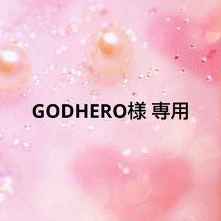 ニンテンドー3DS(ニンテンドー3DS)のGODHERO様 専用(その他)