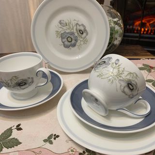 ウェッジウッド(WEDGWOOD)のウェッジウッド  グレンミスト　リーカップ＆ソーサー　17.5cmプレート 2客(食器)