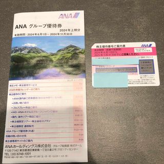 エーエヌエー(ゼンニッポンクウユ)(ANA(全日本空輸))のANA株主優待券1枚&グループ優待券1冊(その他)