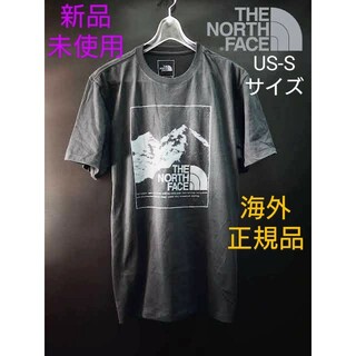 ザノースフェイス(THE NORTH FACE)のノースフェイス　USAマウンテングラフィックTシャツ　海外レア(Tシャツ/カットソー(半袖/袖なし))