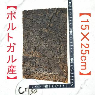 c730 【ポルトガル産15×25cm】 コルク樹皮 コルク板 バージンコルク(各種パーツ)