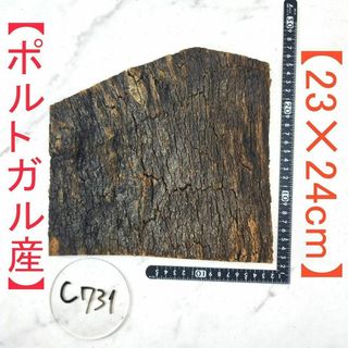 c731 【ポルトガル産23×24cm 】 コルク樹皮 コルク板 バージンコルク(各種パーツ)