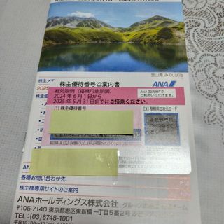 エーエヌエー(ゼンニッポンクウユ)(ANA(全日本空輸))のANA優待券(ショッピング)