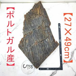 c733 【ポルトガル産27×49cm】 コルク樹皮 コルク板 バージンコルク(各種パーツ)