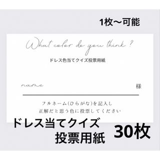 投票用紙30枚(その他)