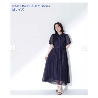 ナチュラルビューティーベーシック(NATURAL BEAUTY BASIC)のNATURAL BEAUTY BASIC メッシュワンピース(ロングワンピース/マキシワンピース)