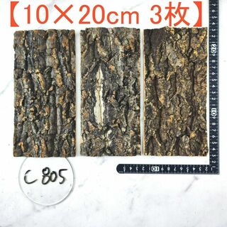 c805 【10×20cm 3枚】 コルク樹皮 コルク板 バージンコルク送料無料(各種パーツ)