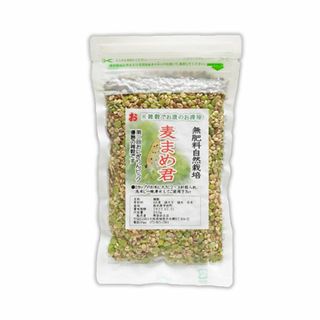 自然栽培 麦まめ君(200g)★無肥料・無農薬・自家採取★栄養豊富な雑穀たち♪(米/穀物)