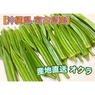 【SALE】オクラ 沖縄県 宮古島産(野菜)