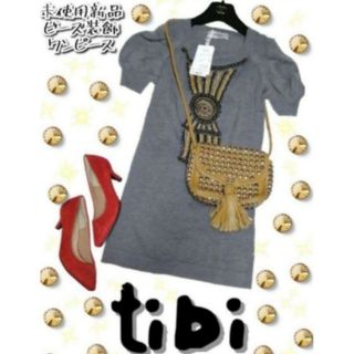 ティビ(tibi)の未使用❤新品❤tibi❤ティビ❤ワンピース❤ビジュー❤グレー❤ニット❤ビーズ装飾(ひざ丈ワンピース)