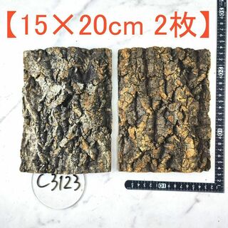 c3123【15×20cm 2枚】コルク樹皮 コルク板 バージンコルク 送料無料(各種パーツ)