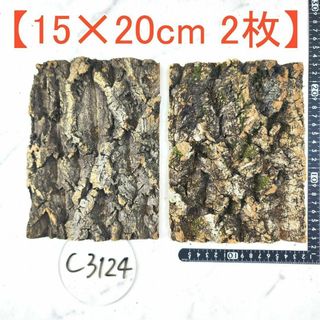 c3124【15×20cm 2枚】コルク樹皮 コルク板 バージンコルク 送料無料(各種パーツ)