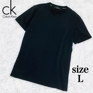 カルバンクライン(Calvin Klein)の美品 カルバンクライン Tシャツ L バックロゴ ブラック L(Tシャツ/カットソー(半袖/袖なし))