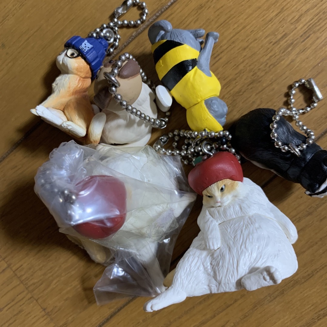 ブネコ セット エンタメ/ホビーのエンタメ その他(その他)の商品写真