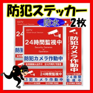 防犯ステッカー ドーム型 セキュリティーステッカー 防犯対策 防犯シール 2枚(防犯カメラ)