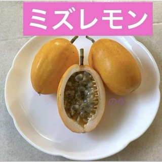 ミズレモンの種子20粒　沖縄産　取り立て(プランター)