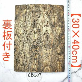 CB507【裏板付き30×40cm】 コルク樹皮 コルク板 バージンコルク(各種パーツ)