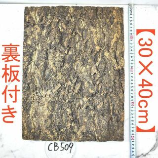 CB509【裏板付き30×40cm】 コルク樹皮 コルク板 バージンコルク(各種パーツ)