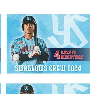 東京ヤクルトスワローズ 2024CREW選手ビジュアルレジャーシート(記念品/関連グッズ)