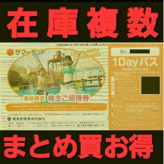 東京サマーランド春秋限定株主ご招待券1Dayパス2枚 追加購入割引 株主優待(プール)