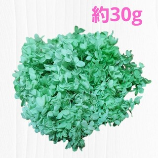 プリザーブドフラワー 紫陽花 クリアグリーン 約30g(プリザーブドフラワー)