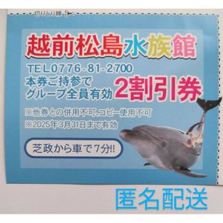 福井　越前松島水族館　入館料　割引券　1枚　三国町　東尋坊　北陸 新幹線(水族館)