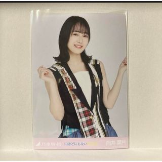 ノギザカフォーティーシックス(乃木坂46)の乃木坂46 向井葉月　生写真 口ほどにもないKISS チュウ(アイドルグッズ)