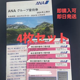 ANA(全日本空輸) - ANA 株主優待　即購入可　即日発送