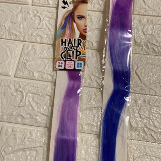 HAIR COLOR CLIP (その他)