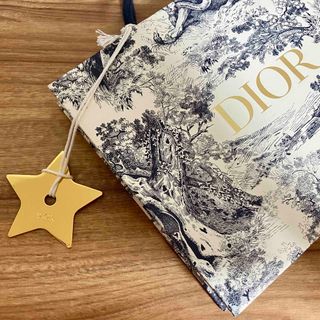 Christian Dior - DIOR 紙袋　星形チャーム付き　【送料込み・匿名配送】