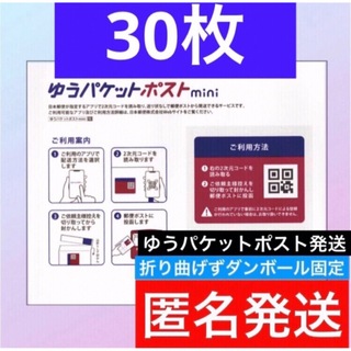 ゆうパケットポストmini  専用封筒　30枚　c