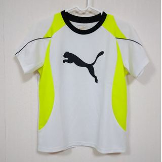 プーマ(PUMA)の専用　Ｔシャツ(Tシャツ/カットソー)