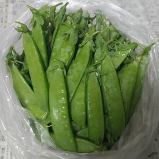 自家製絹さや(野菜)