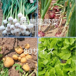 無農薬野菜　野菜詰め合わせ　　新鮮　大阪産　産地直送　naru様専用(野菜)